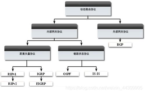 華為等大廠網絡工程師必備的路由知識，專業性強，建議收藏